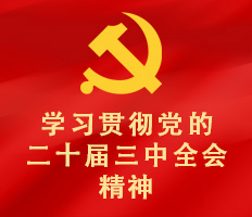 学习贯彻党的二十三届三中全会精神